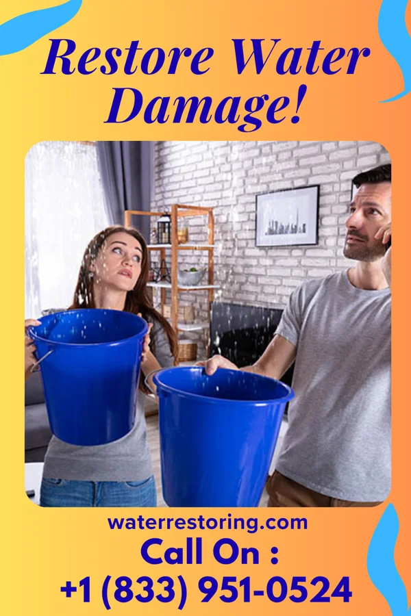water restoration Horizon Recovery Professionals Potters Hill